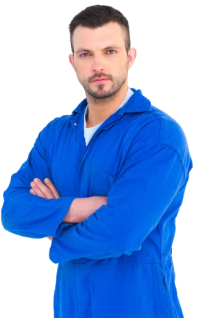 Bed Bug Specialists